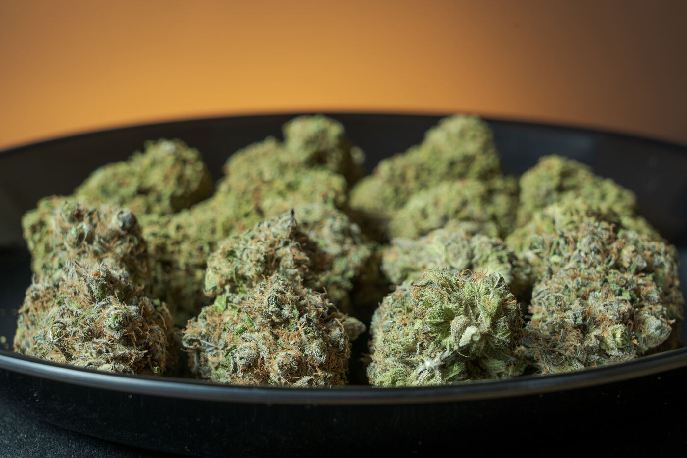Close-up of trimmed cannabis flower buds