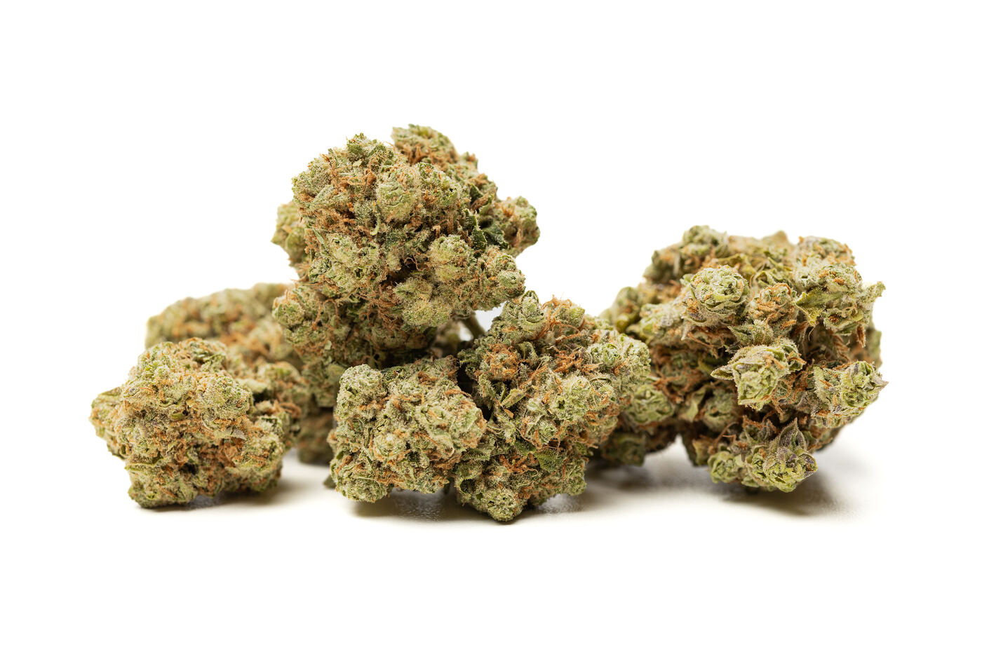 Bright, frosty sativa cannabis flowers